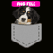 CRMD181023127-Bernese Mountain Funny Dog Png, Christmas Dog Moods Png, Cute Gifts Png.png