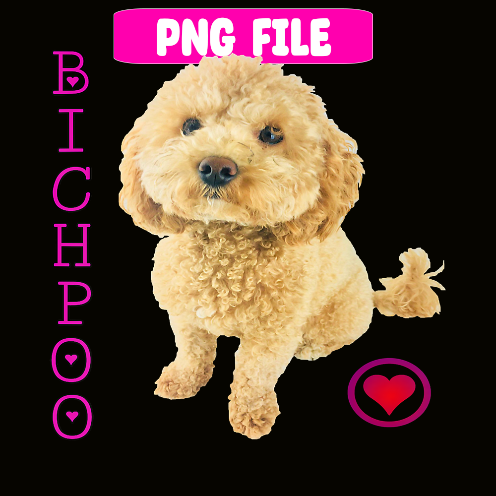 CRMD181023141-Bichpoo Puppy Dog Poodle Png, Christmas Dog Moods Png, Cute Gifts Png.png