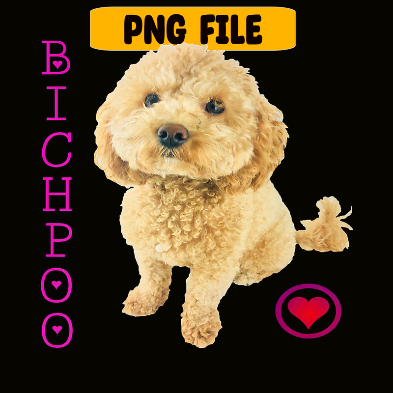 CRMD181023141-Bichpoo Puppy Dog Poodle Png, Christmas Dog Moods Png, Cute Gifts Png.png