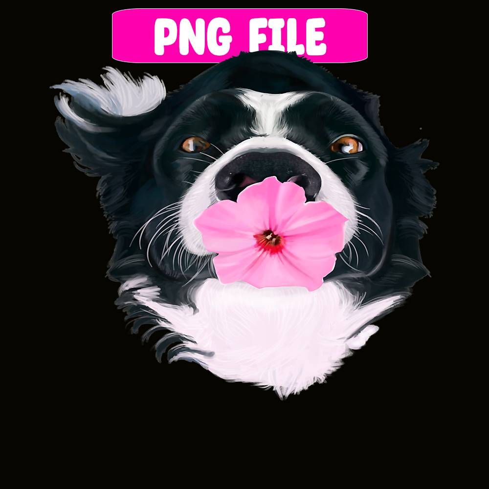 CRMD181023143-Border Collie Sweet Dog Png, Christmas Dog Moods Png, Cute Gifts Png.png
