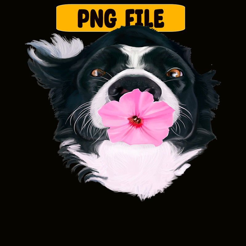 CRMD181023143-Border Collie Sweet Dog Png, Christmas Dog Moods Png, Cute Gifts Png.png