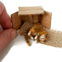 Small red cat in a box, 1:12 scale miniature , will make to order