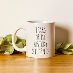 history teacher gift, tears of my history students, funny gift for professor, back to school gift, historian coffee mug,