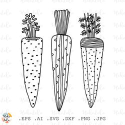 Carrot Svg Cricut, Carrot Clipart Png, Carrot Hand Drawn Illustration, Stencil Template Dxf