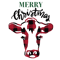 14-02.png