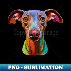 Italian Greyhound Piccolo Levriero Photo Art - Signature Sublimation PNG File - Perfect for Sublimation Art