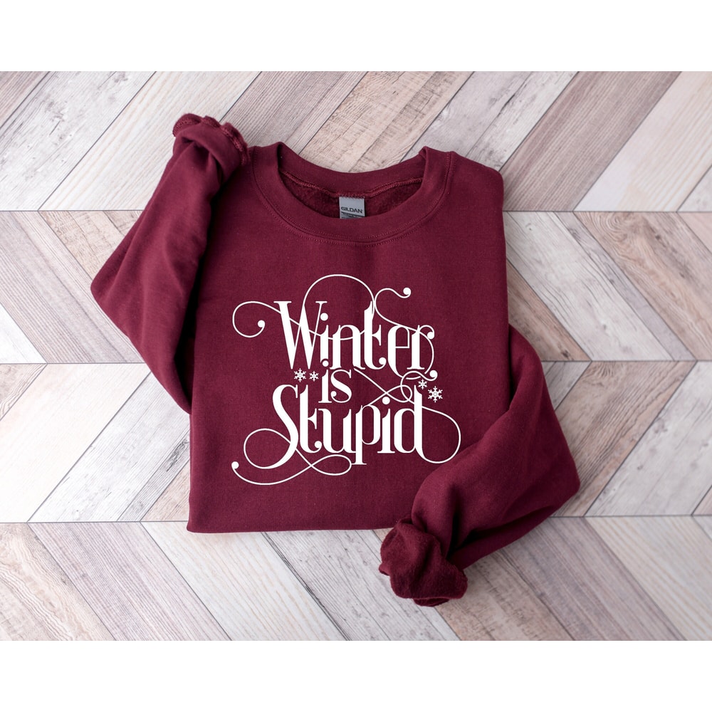 Winter Is Stupid Shirt, Sweatshirt for Winter, Winter Gift, Cute Winter Top, Sassy Top, Gift for Christmas, Funny Winter Shirt.jpg