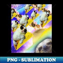 Space Galaxy Cat And Rainbow Cowboy Sloth - Taco Donut - Special Edition Sublimation PNG File - Stunning Sublimation Graphics