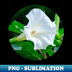 Datura Flower Photograph - Exclusive Sublimation Digital File - Vibrant and Eye-Catching Typography