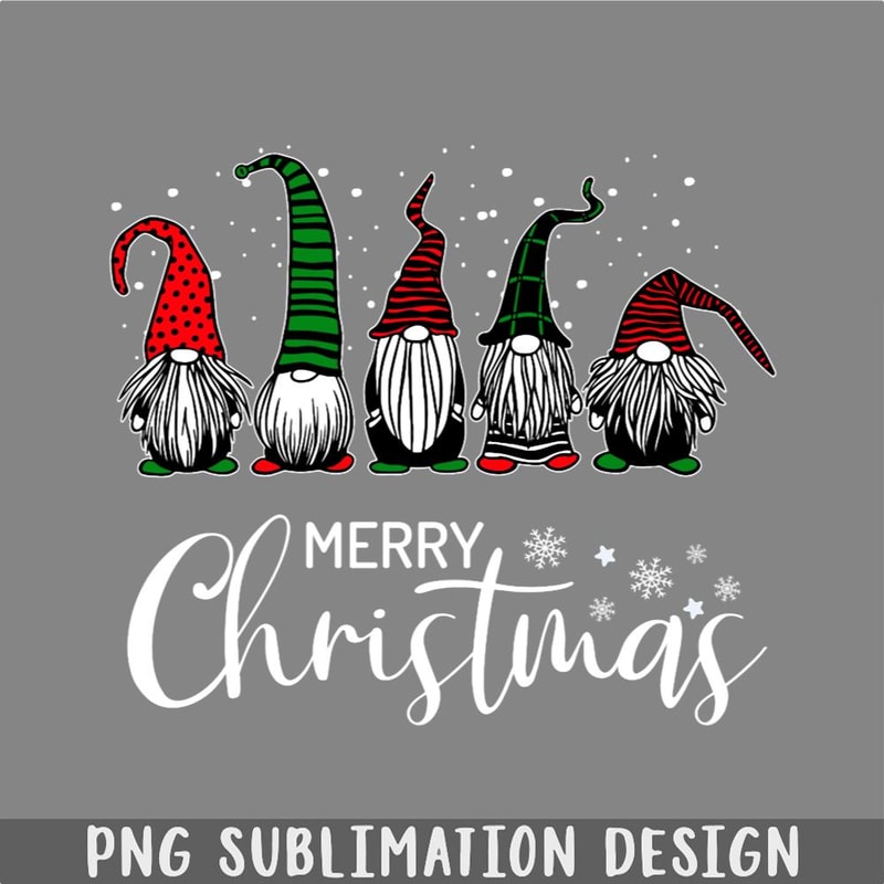 DM241123238-Cute Xmas Gnomes In Plaid Hats Merry Christmas Gift Fabulous Gnome Graphic PNG, Christmas PNG.jpg