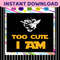MR-ibarin-sw13082020-24112023143849.jpeg