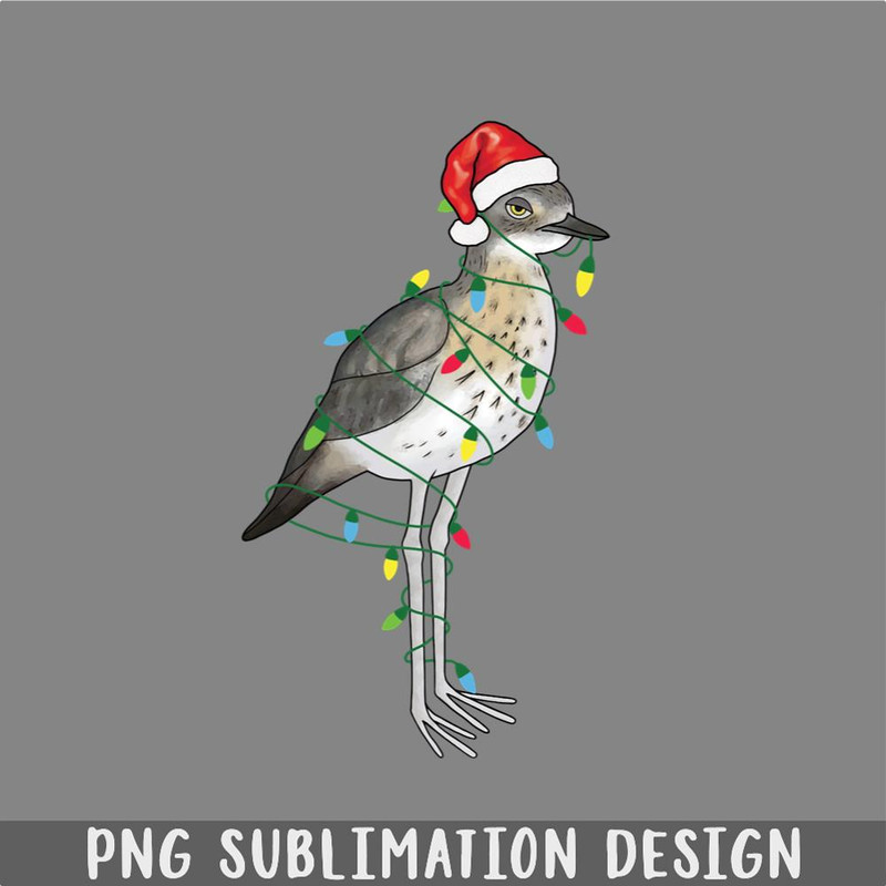 DM241123319-Extra Festive Bush Stone Curlew PNG, Christmas PNG.jpg