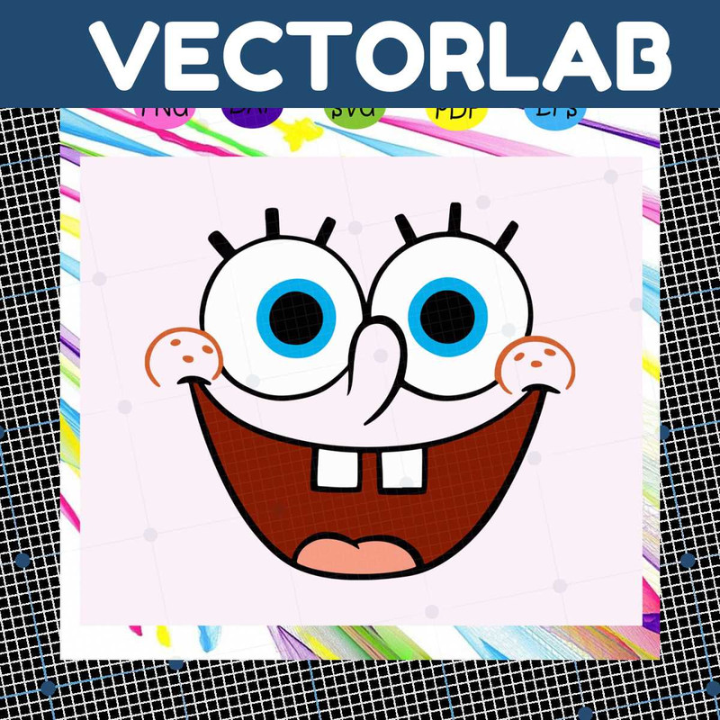 MR-vectorlab-ct11082020-24112023153725.jpeg