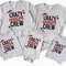 Crazy Cousin Crew Shirt, Christmas Cousin Shirts, Family Matching Shirts, Christmas Gift, Holiday Shirt, Cousin Crew Shirts, Christmas Shirt.jpg