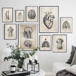 anatomy skeleton patent vintage posters and prints medical wall art print canvas painting pictures for living room home