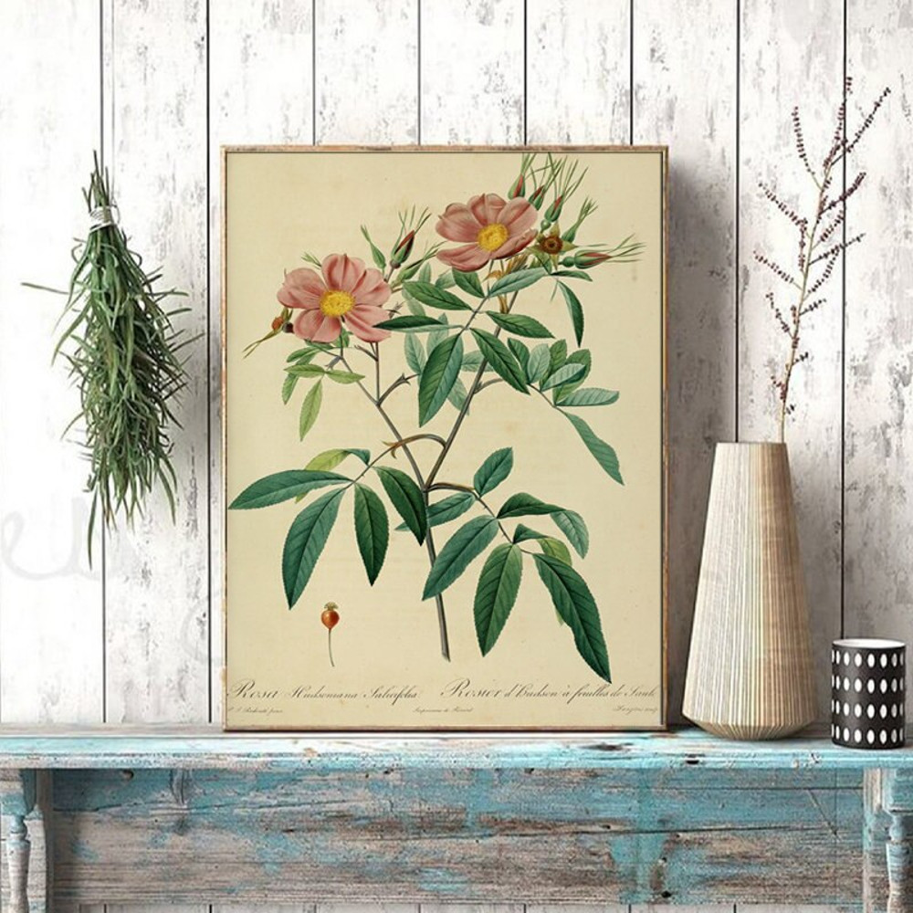 Ancient Botanical Poster Vintage Rose Flower Wall Pictures Classic Floral Lily Plants Wall Art Canvas Painting Living Room Decor.jpg
