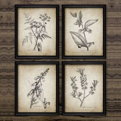 antique botanical vintage posters and prints wall pictures plants retro wall art canvas painting home room wall decorati