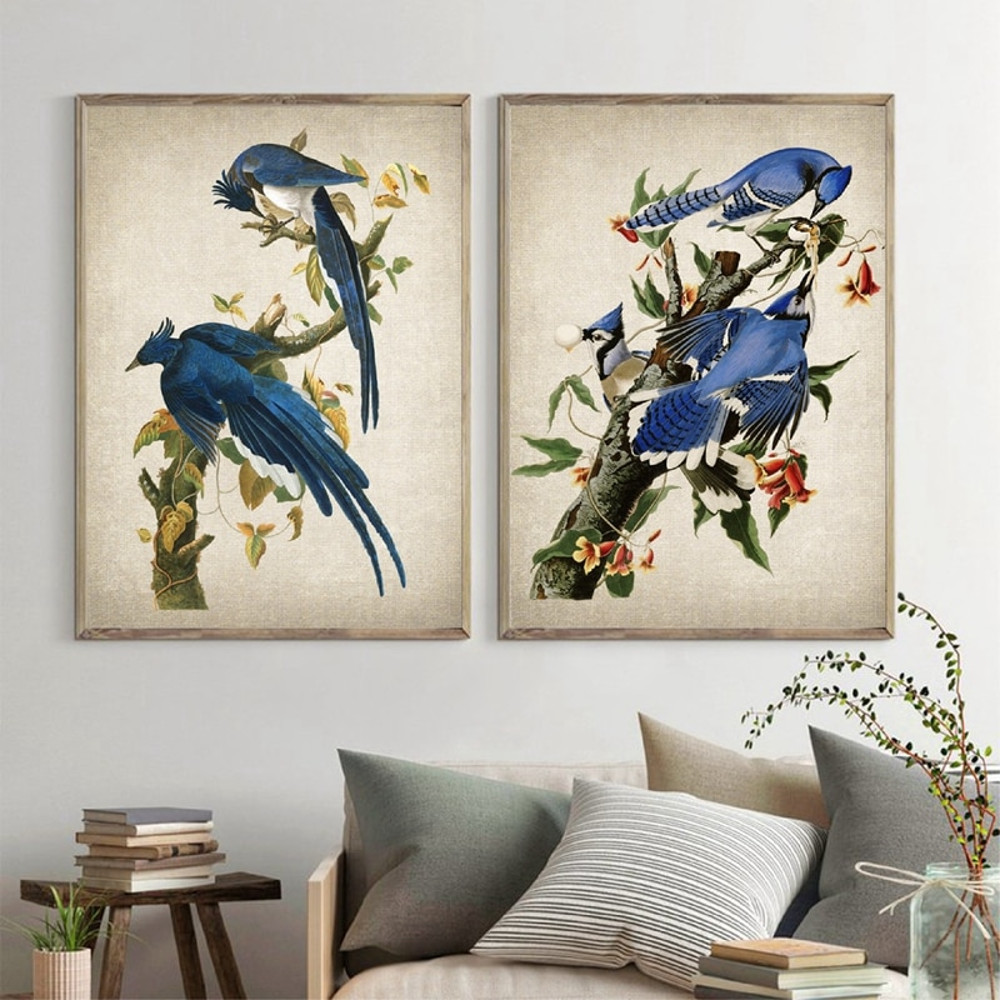 Audubon Art Prints Columbia Jays Vintage Bird Illustration Poster Canvas Painting Blue Jays Pictures for Living Room Home Decor.jpg