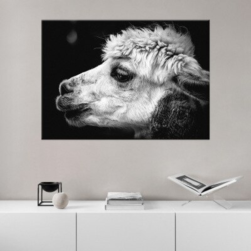 Black and white alpaca head animal canvas painting living room bedroom study decoration painting.jpg