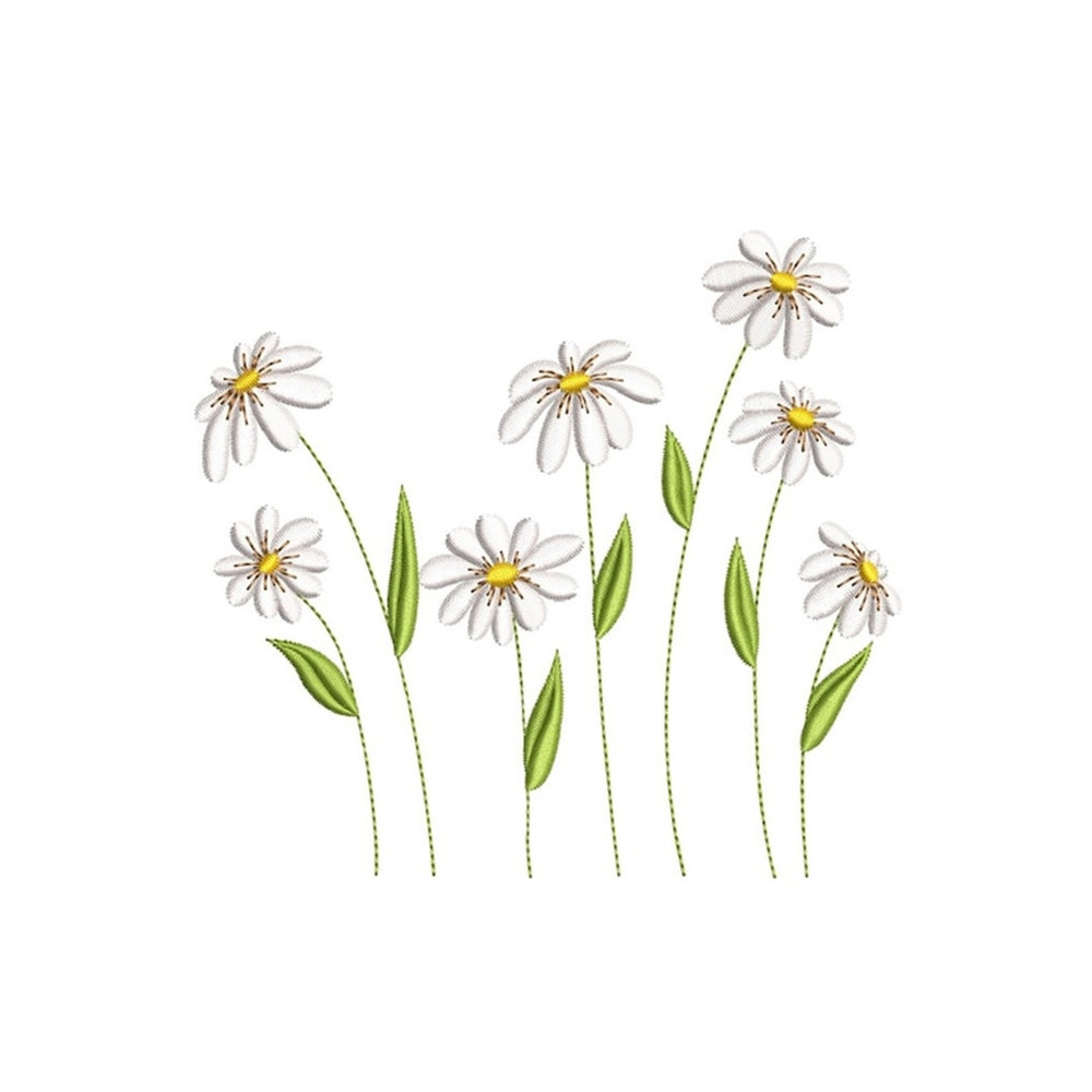 MR-24112023173437-daisy-flowers-machine-embroidery-design-4-sizes-instant-image-1.jpg