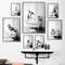Nordic Funny Animals Bathroom Poster Black White Tiger Penguin Elephant Decorative Paintings Canvas Wall Art Pictures Room Decor.jpg
