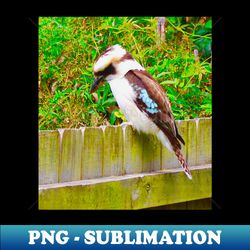 The Kookaburra - Special Edition Sublimation PNG File - Fashionable and Fearless
