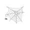 MR-24112023203830-spider-web-machine-embroidery-design-halloween-embroidery-image-1.jpg