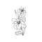 MR-2411202322300-lily-flower-embroidery-design-6-sizes-instant-download-image-1.jpg