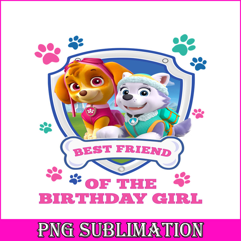 CT04092313-Best friend of the birthday girl png.png