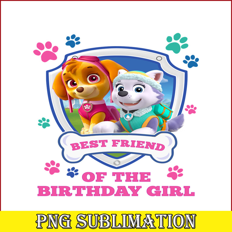 CT04092313-Best friend of the birthday girl png.png