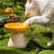 mushroom-elevated-cat-ceramic-bowl-yellow.jpg