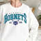 Charlotte Hornet, Vintage Charlotte Hornet Sweatshirt, T-Shirt, Hornets Sweater, Hornets T-Shirt, Vintage Basketball Fan.jpg