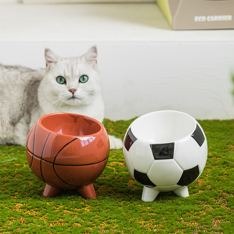 footballbasketballceramiccatbowljpg