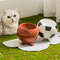 footballbasketballceramiccatbowlsjpg