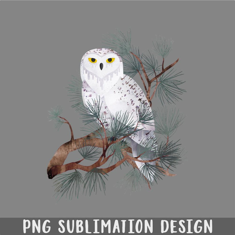 DM241123835-Snowy PNG, Christmas PNG.jpg