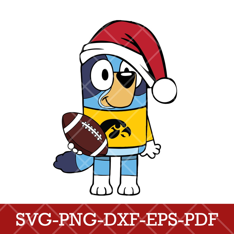 Iowa Hawkeyes_NCAA Bluey 6.png