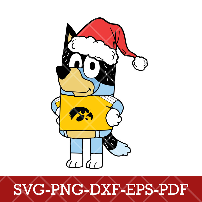 Iowa Hawkeyes_NCAA Bluey 7.png