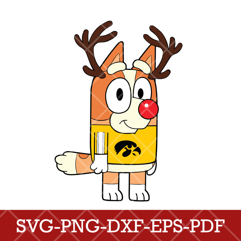 Iowa Hawkeyes_NCAA Bluey 8.png