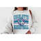 MR-2511202314169-charlotte-hornet-vintage-charlotte-hornet-sweatshirt-image-1.jpg