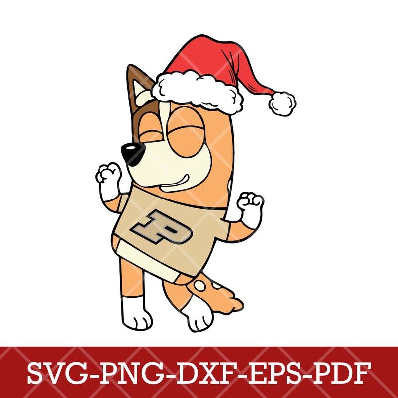 Purdue Boilermakers_NCAA Bluey 11.png