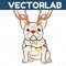 MR-vectorlab-1811231070-25112023155128.jpeg