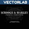 MR-vectorlab-1811231019-2511202318457.jpeg
