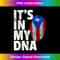 IE-20231125-2863_IT'S IN MY DNA Puerto Rico Rican Flag Men Women Kid 2081.jpg