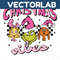 MR-vectorlab-1111231009-25112023235017.jpeg