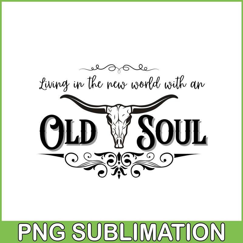 TD060923325-Old soul png.png