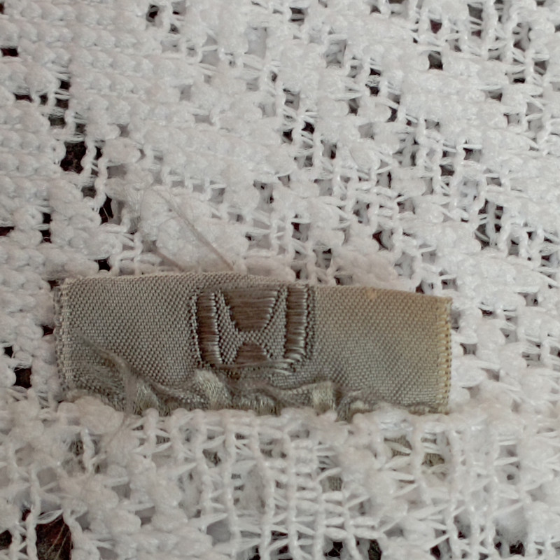 IMG20231122115300jpg