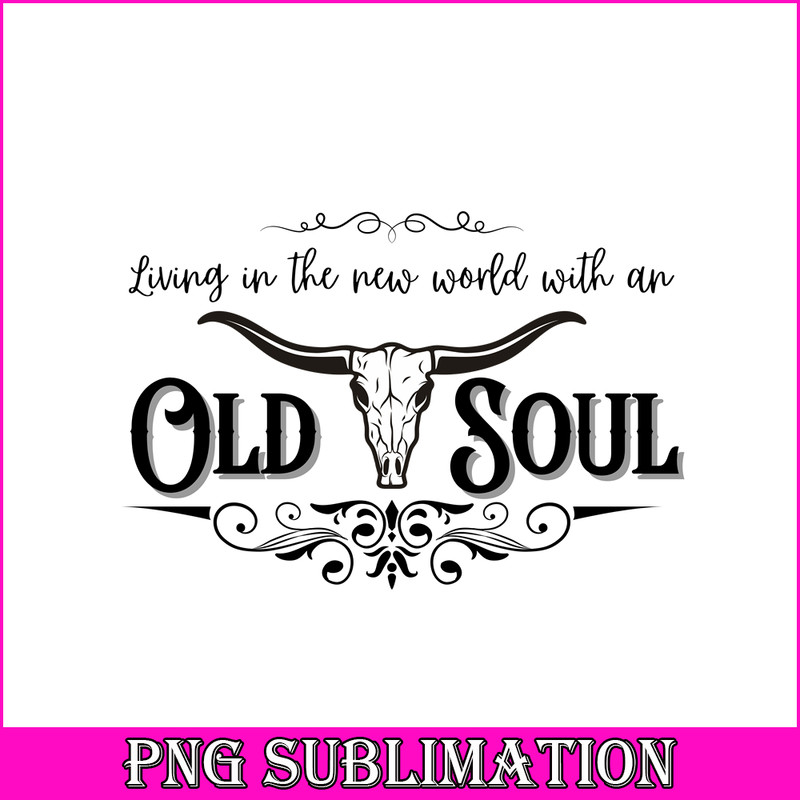 TD060923325-Old soul png.png
