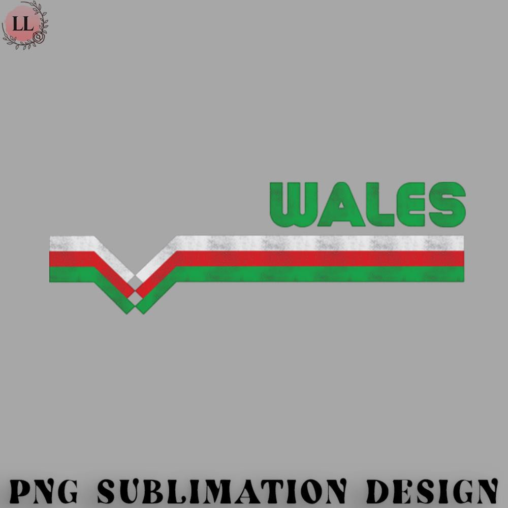 FN0707230826190-Football PNG Wales Football - Wales 2021.jpg