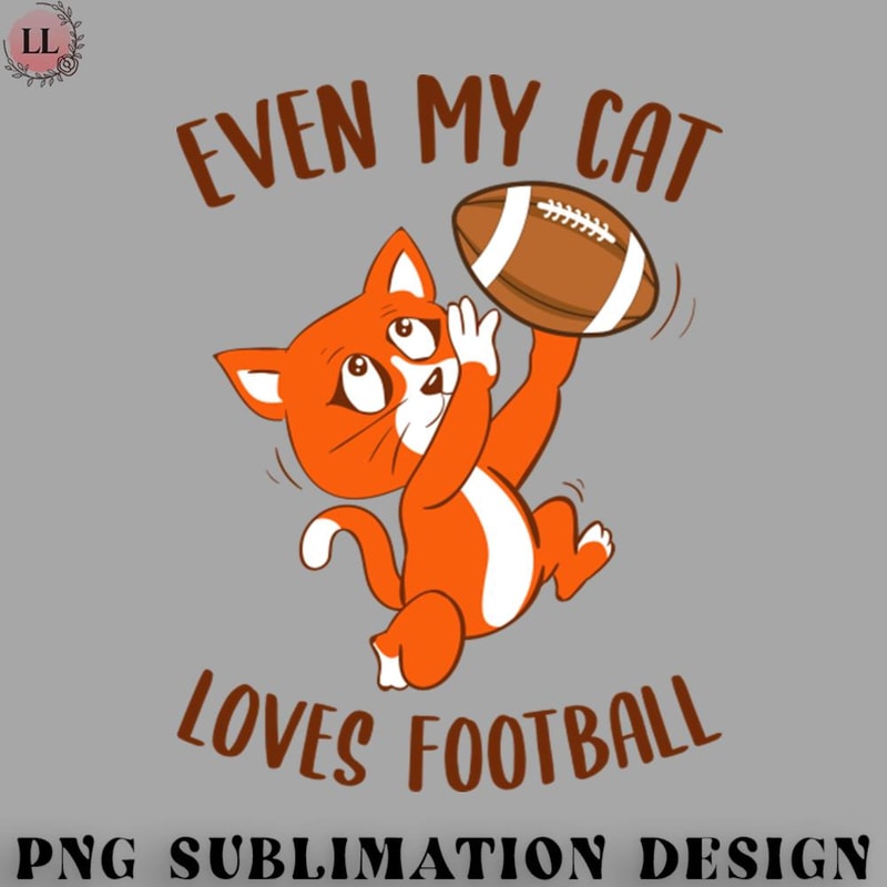 FA0707230815154-Football PNG Even my Cat loves Football.jpg