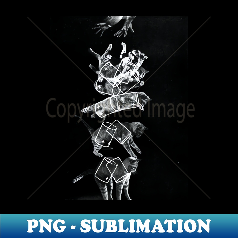 Cat Gravity Testing NASA Cat Drop Gravity Test - PNG Sublimation Digital Downloa | Inspire ...